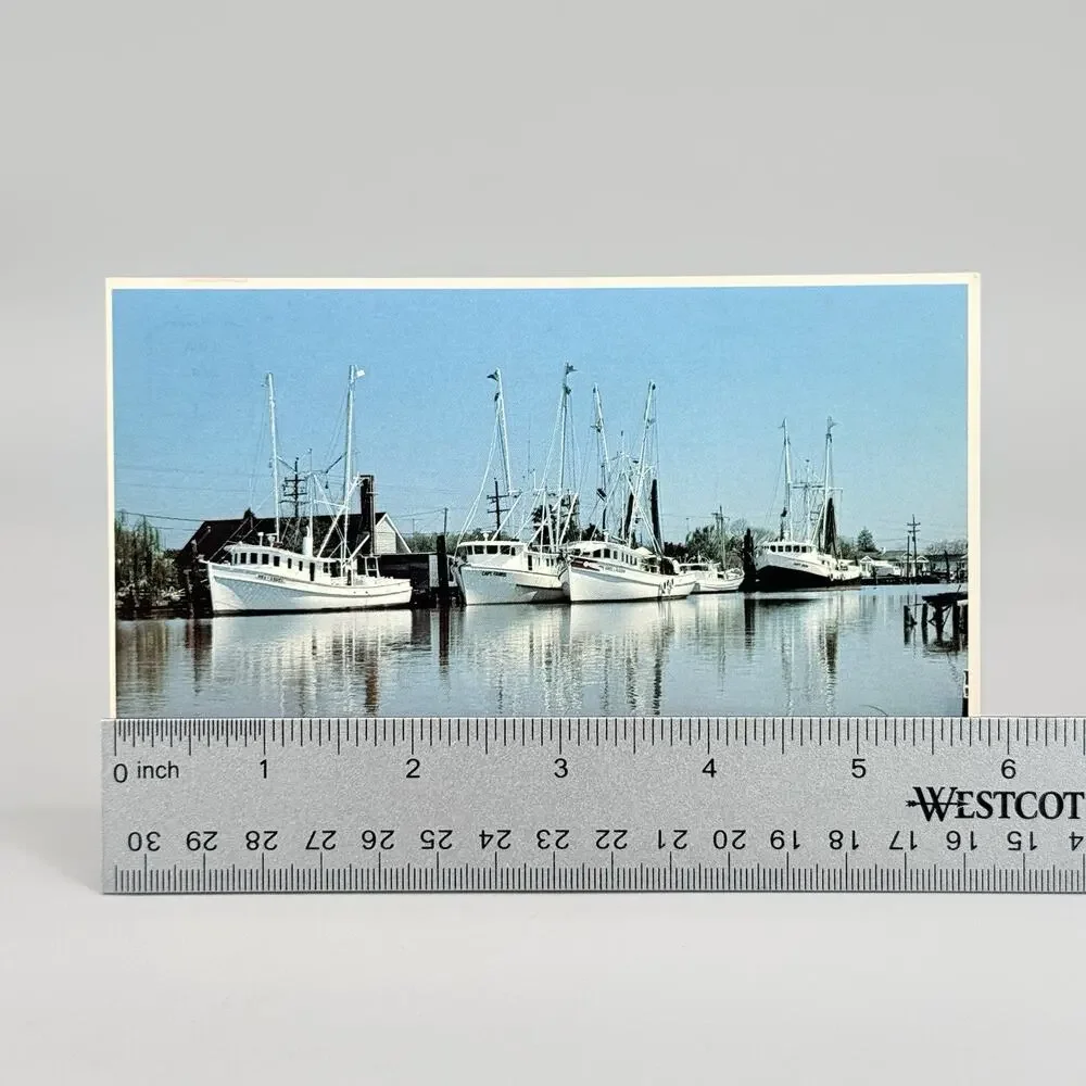 6 Unused Blank Louisiana Vintage Postcards Lot 3 Cajun Crawfish Raisin Cane
